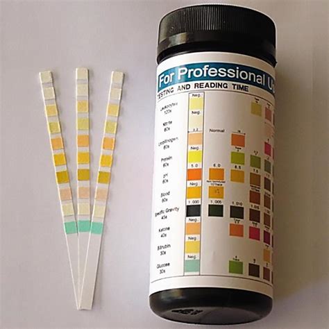 urine test strips use bottle within|urine dipstick test results.